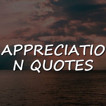 appreciation quotes - 2026