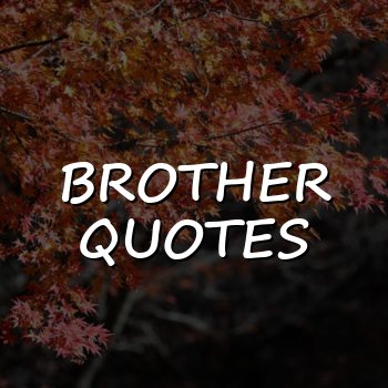 brother quotes - 2026