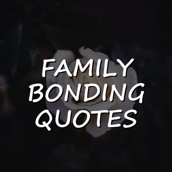 family bonding quotes - 2026