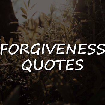 forgiveness quotes - 2026