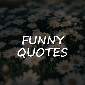 funny quotes - 2026