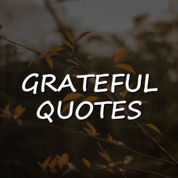 grateful quotes - 2026