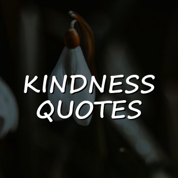 kindness quotes - 2026