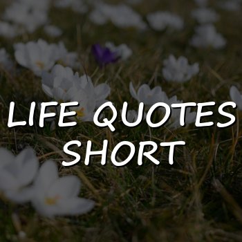 life quotes short - 2026