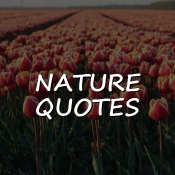 nature quotes - 2026