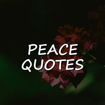 peace quotes - 2026