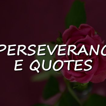 perseverance quotes - 2026