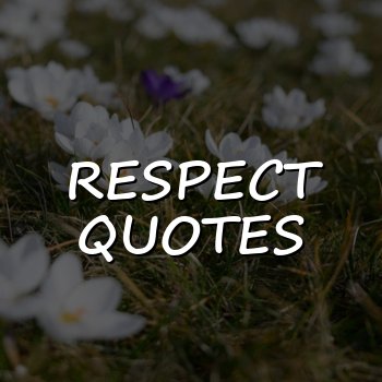 respect quotes - 2026