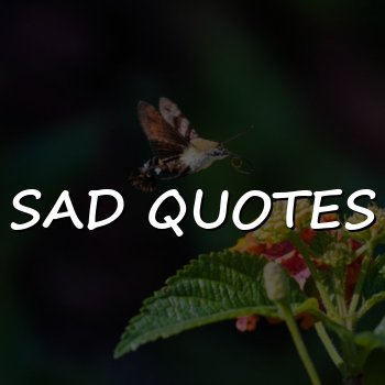 sad quotes - 2026