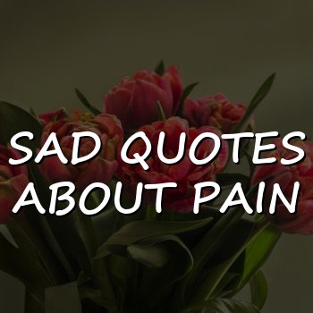 sad quotes about pain - 2026