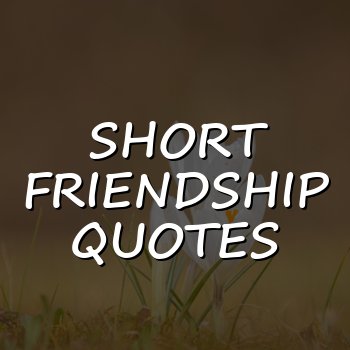 short friendship quotes - 2026