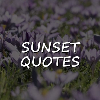 sunset quotes - 2026