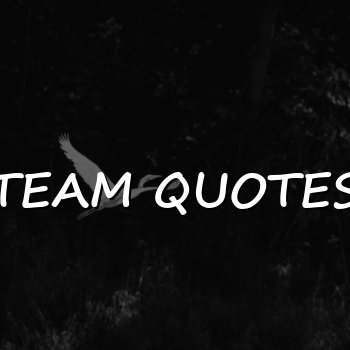 team quotes - 2026
