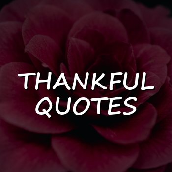 thankful quotes - 2026