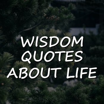 wisdom quotes about life - 2026