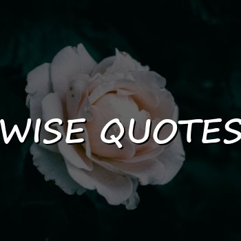 wise quotes - 2026