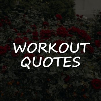 workout quotes - 2026